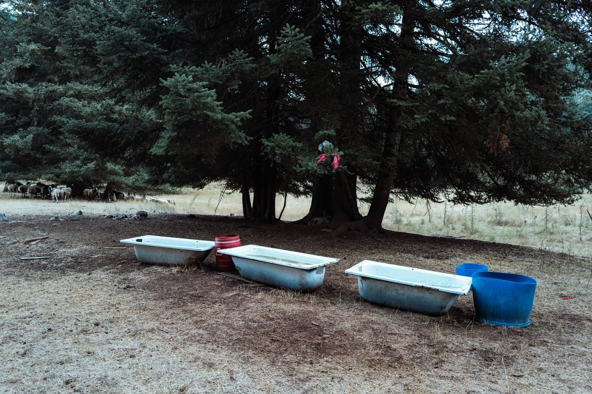A Simple Life in the Mountains of Greece — gallery image