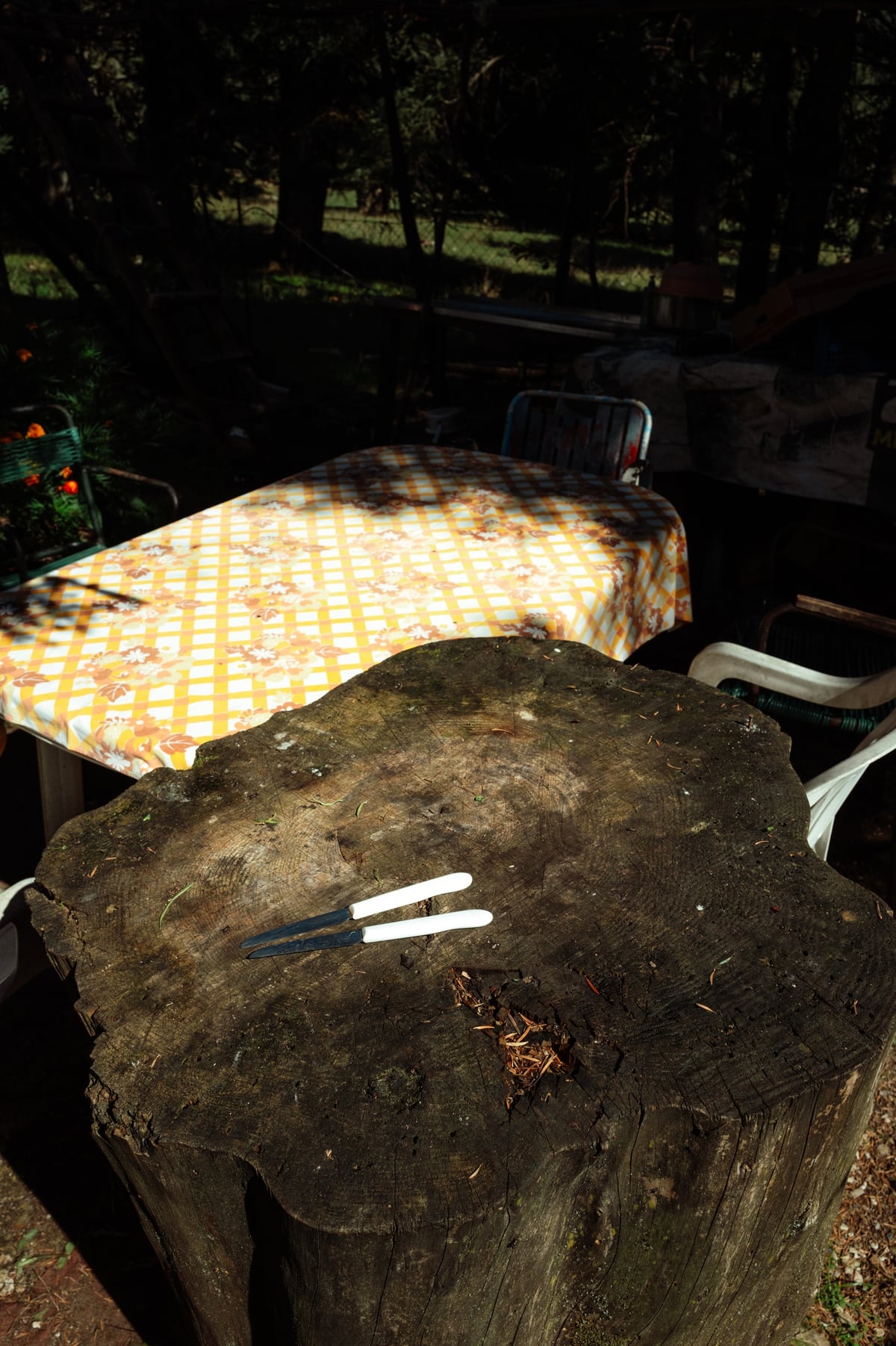 A Simple Life in the Mountains of Greece — gallery image