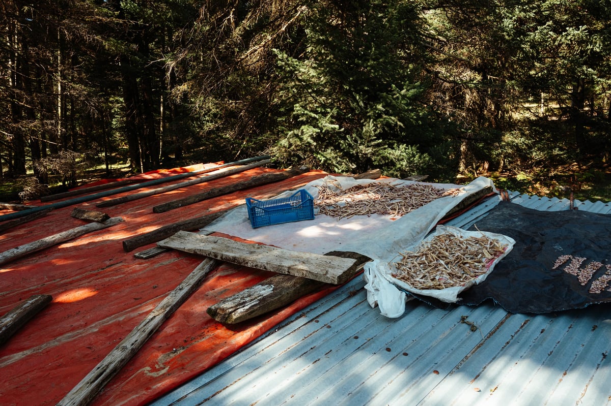 A Simple Life in the Mountains of Greece — gallery image