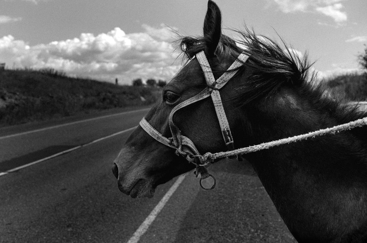 A Journey Through Armenia — The Oldest Christian Nation in the World — gallery image