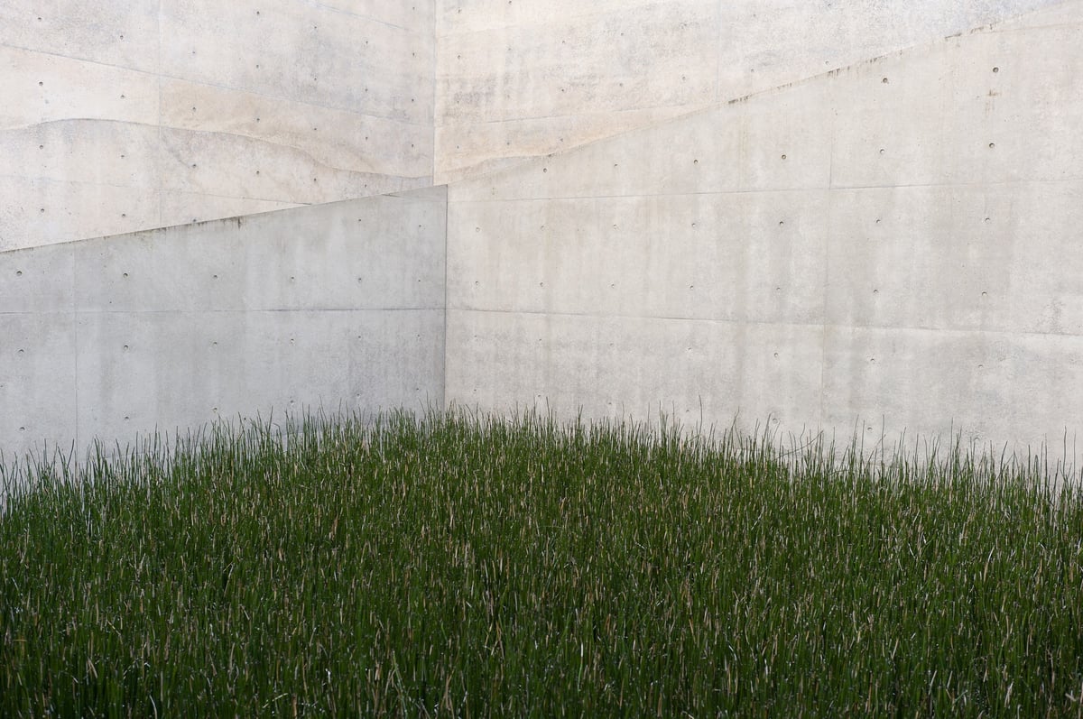 Art as a Means of Reviving Life — gallery image