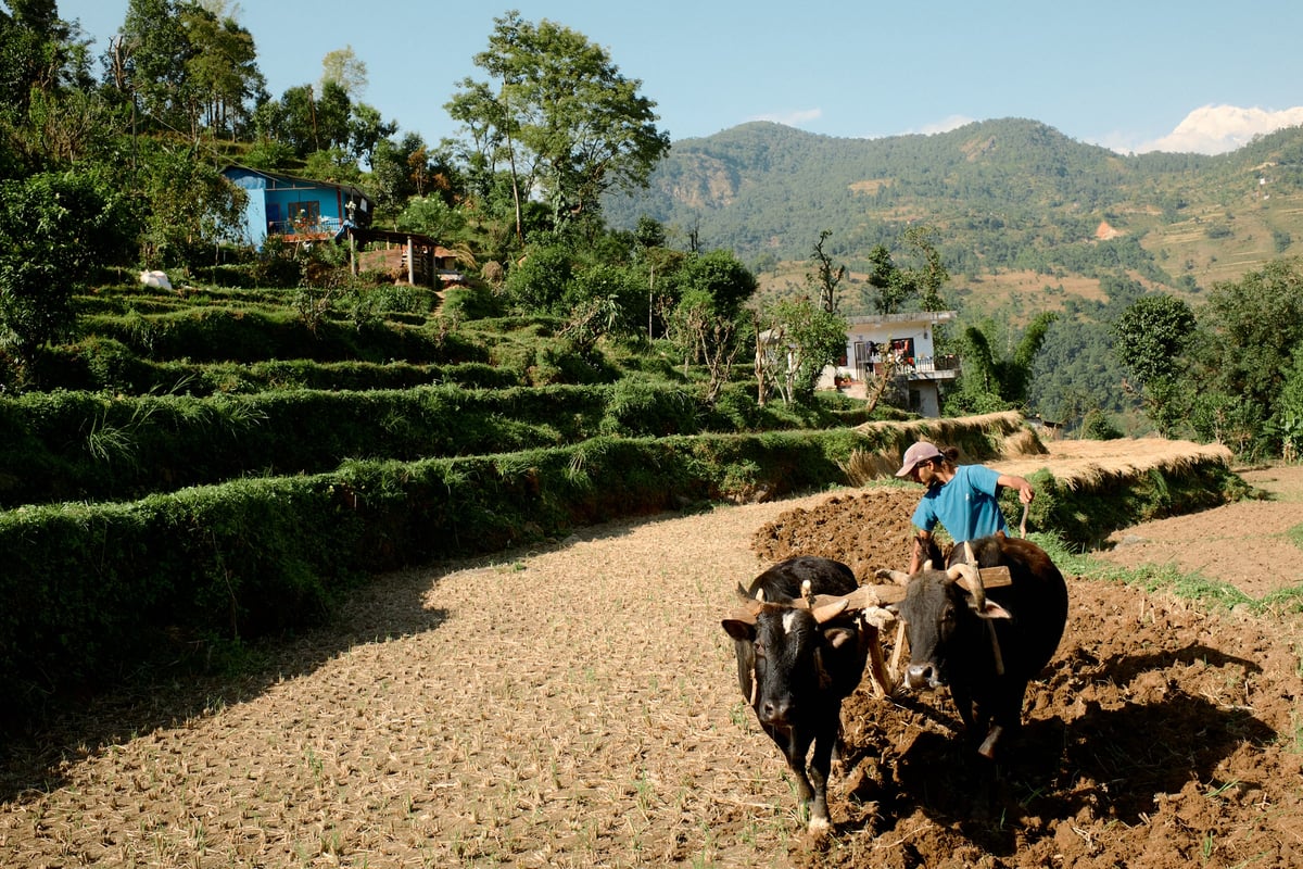 Barang Village Community Homestay in Nepal — gallery image