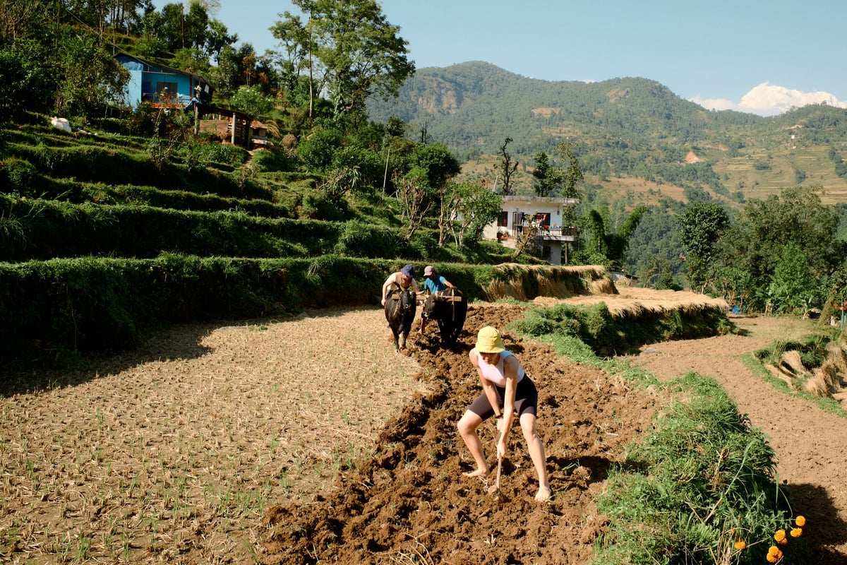Barang Village Community Homestay in Nepal — gallery image