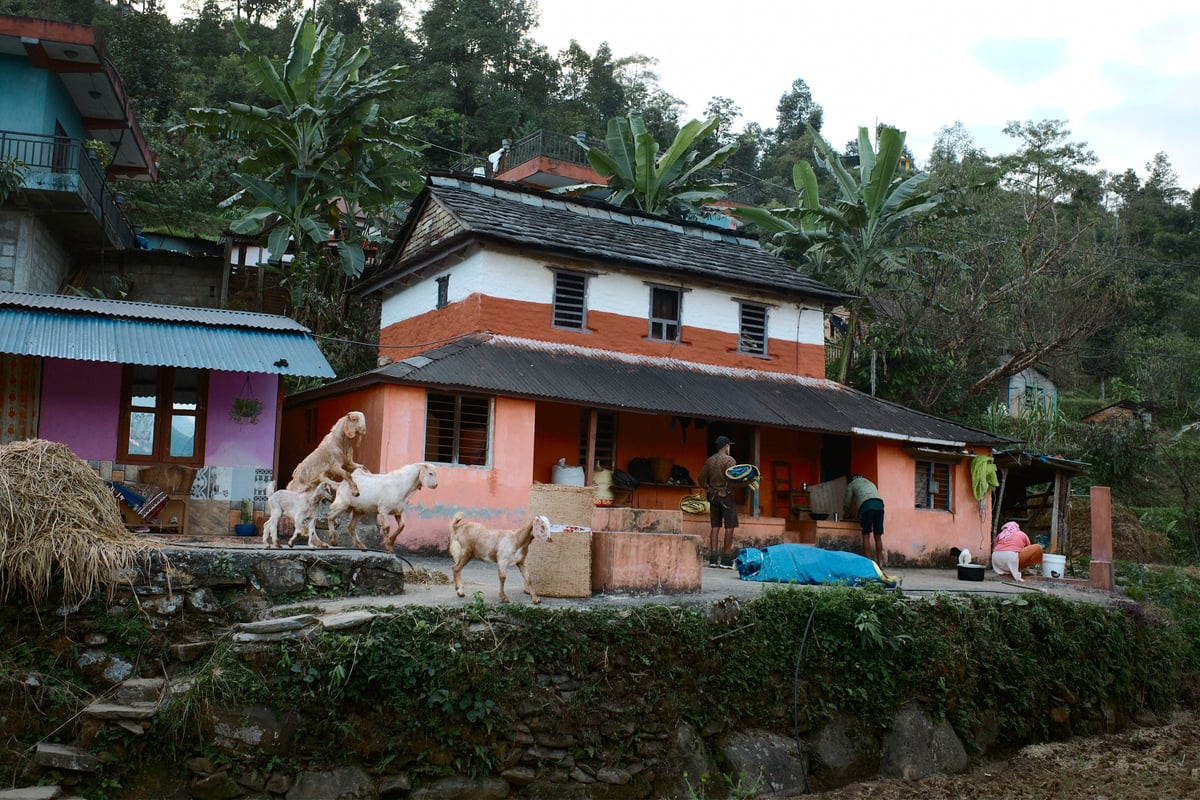 Barang Village Community Homestay in Nepal — gallery image