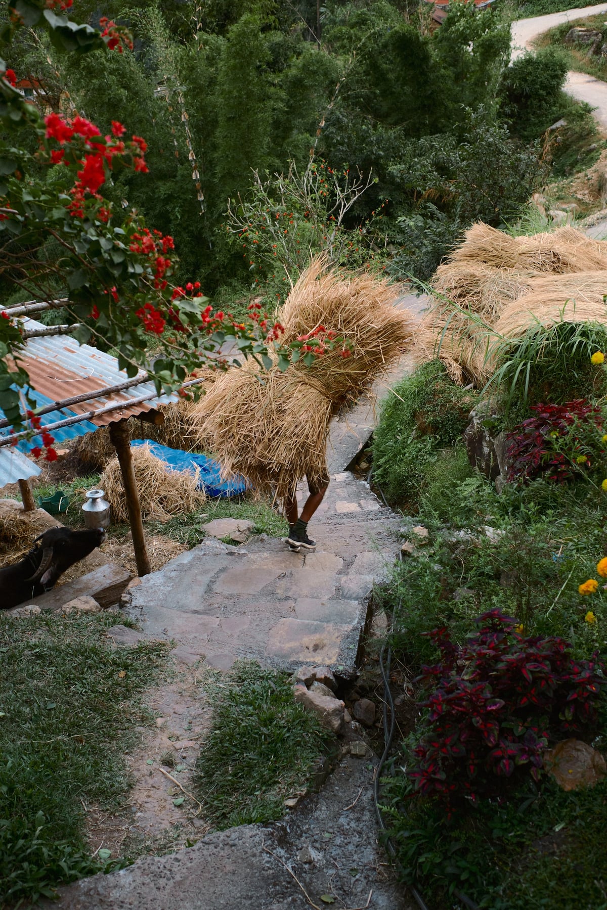 Barang Village Community Homestay in Nepal — gallery image