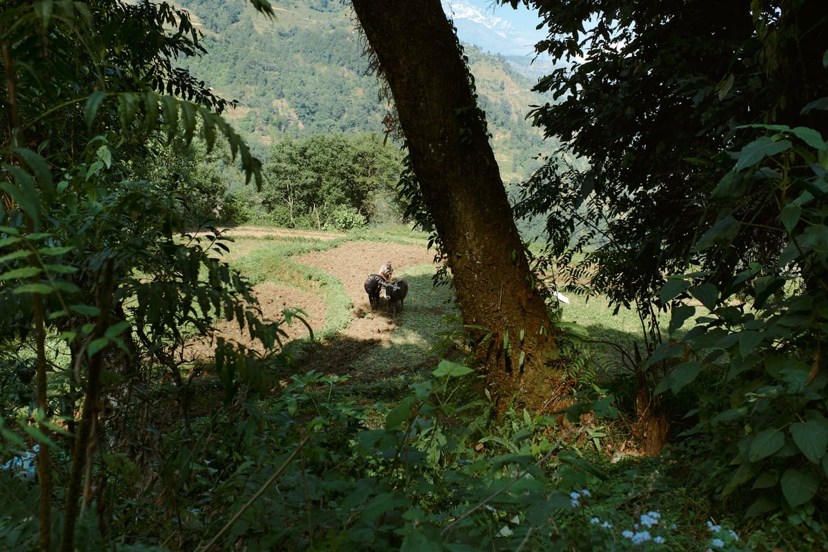 Barang Village Community Homestay in Nepal — gallery image