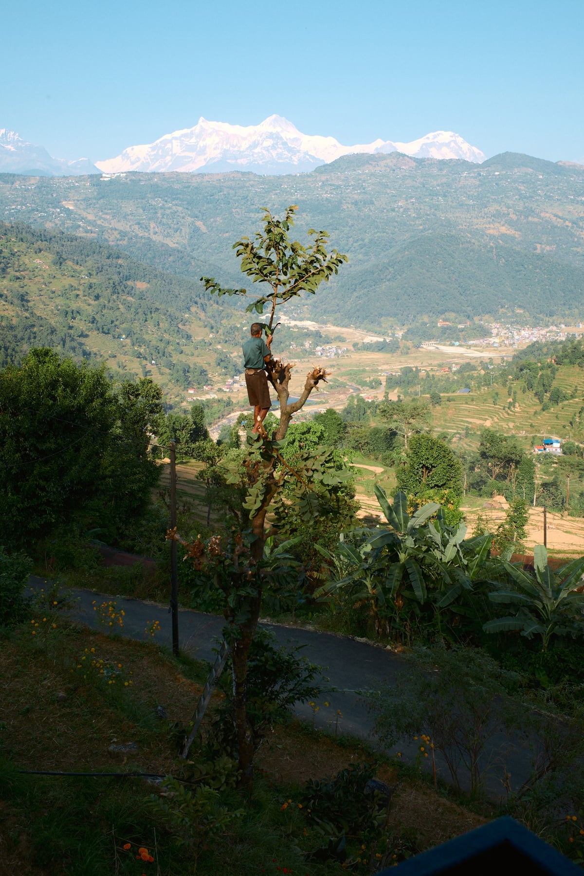 Barang Village Community Homestay in Nepal — gallery image