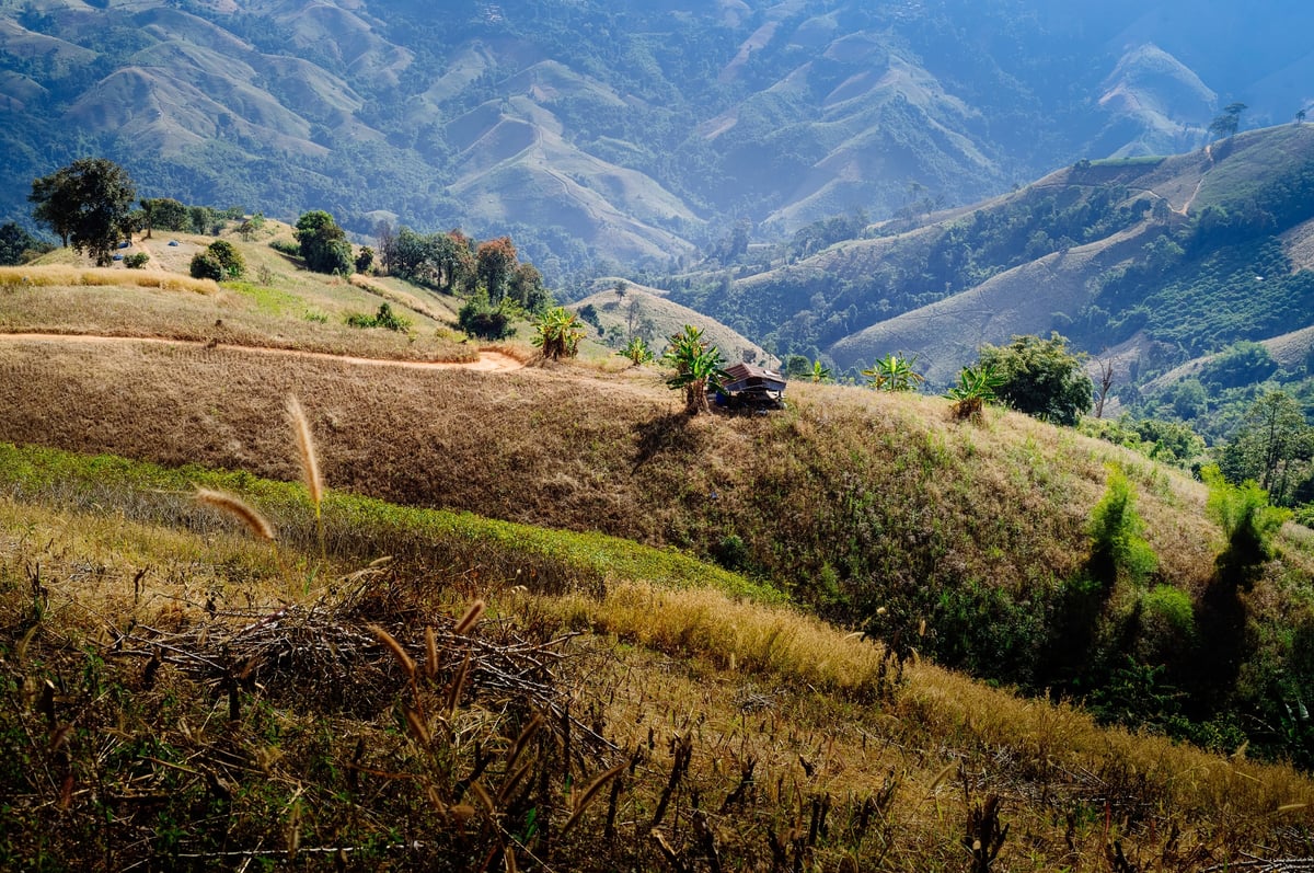 Four Days in Northern Thailand's Mountains — gallery image