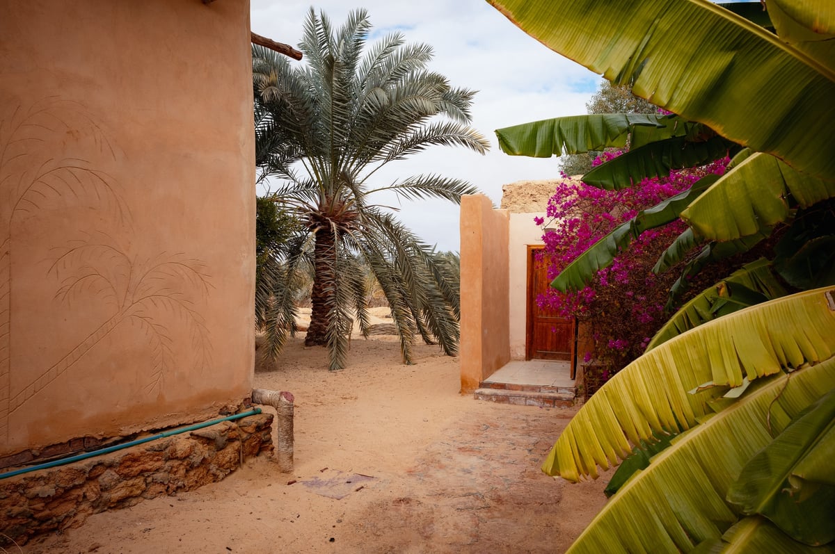 Siwa Oasis: A Journey Into the Desert — gallery image