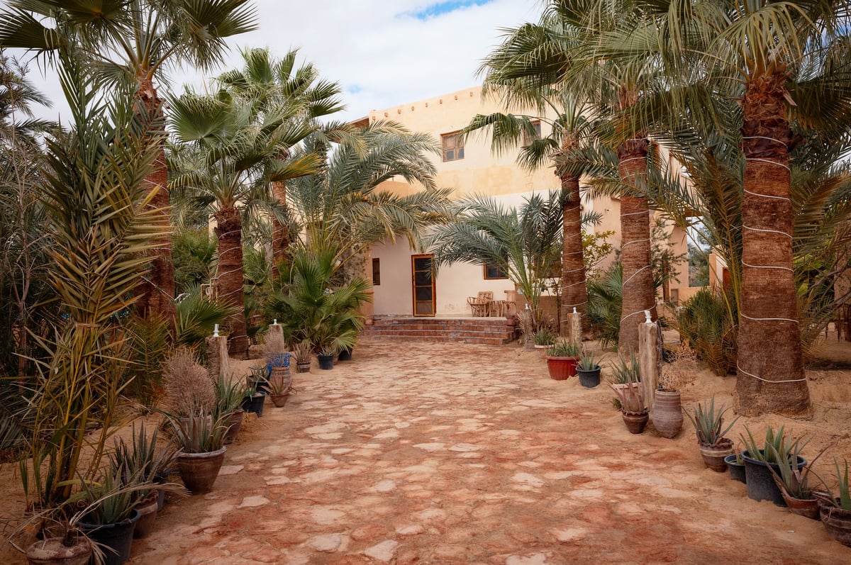 Siwa Oasis: A Journey Into the Desert — gallery image