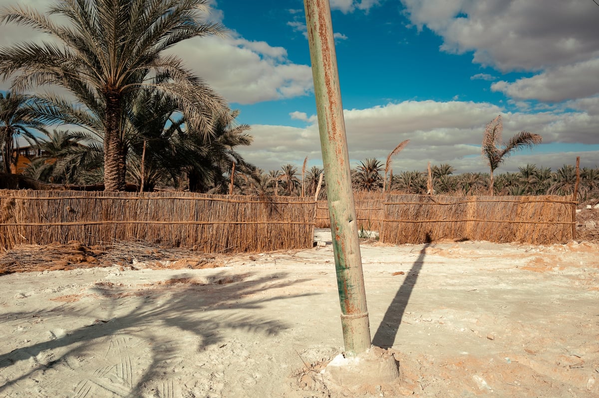 The Magic of Siwa: Going Back — gallery image