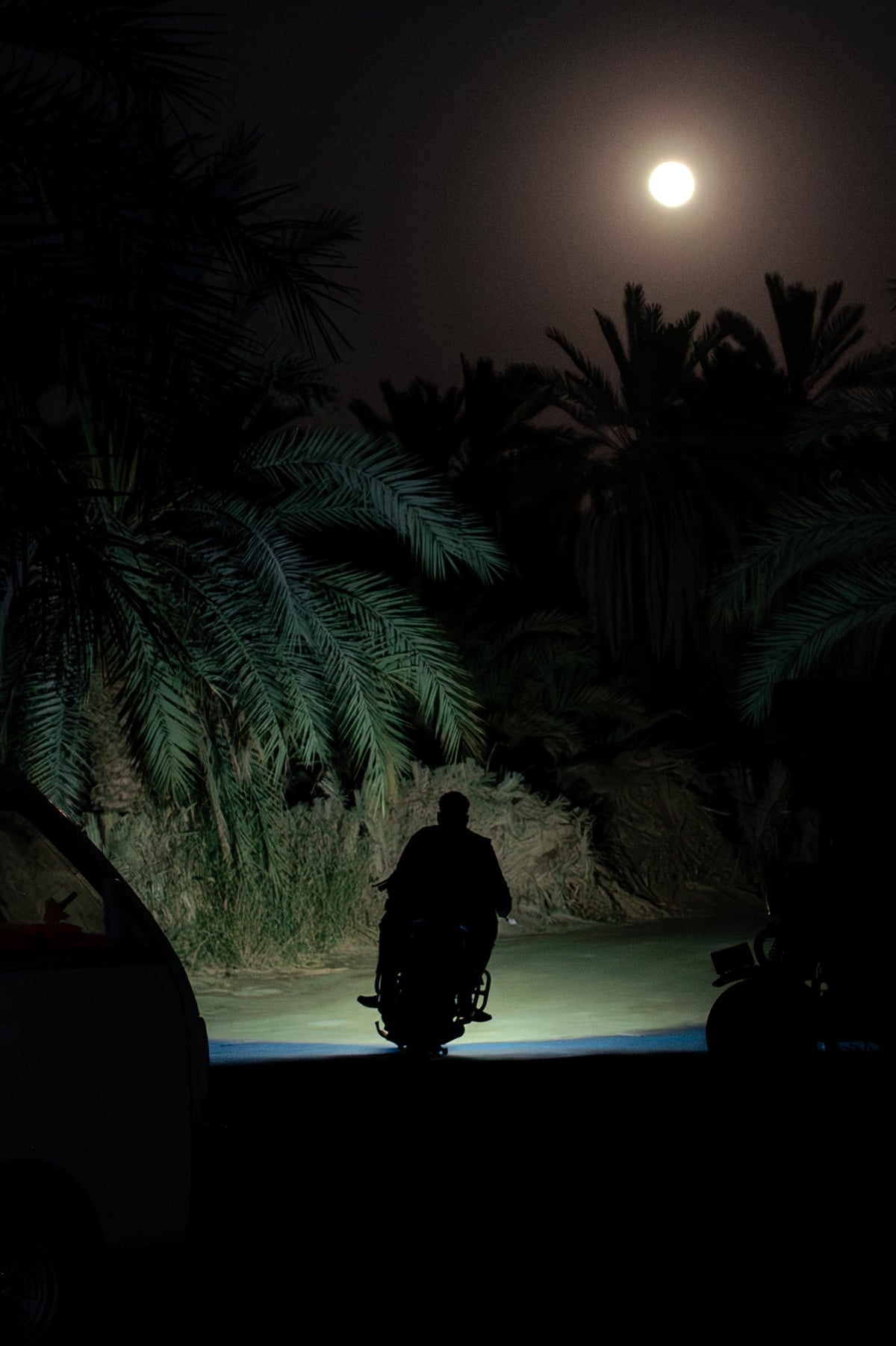 The Magic of Siwa: Going Back — gallery image