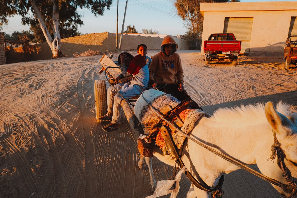 The Magic of Siwa: Going Back — gallery image