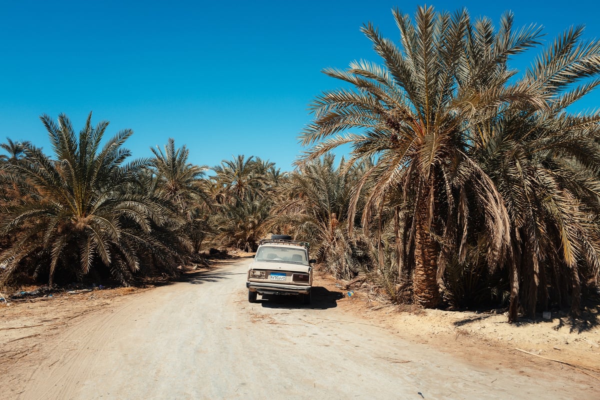 The Magic of Siwa: Going Back — gallery image