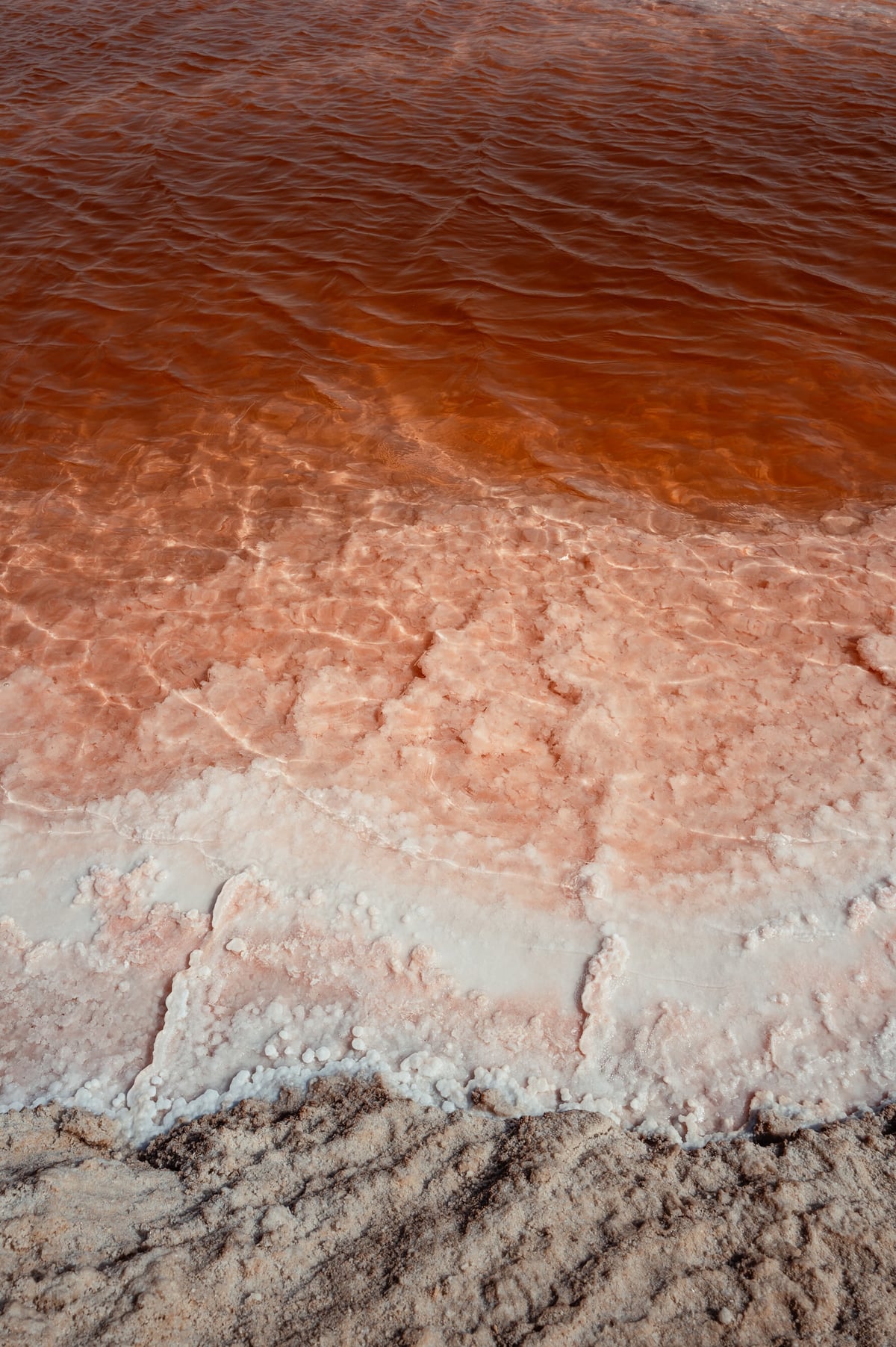 The Magic of Siwa: Going Back — gallery image