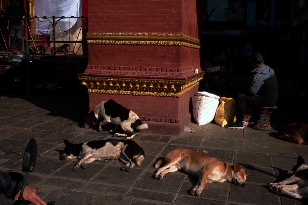 Nothing Is Hidden — Nepal — frame