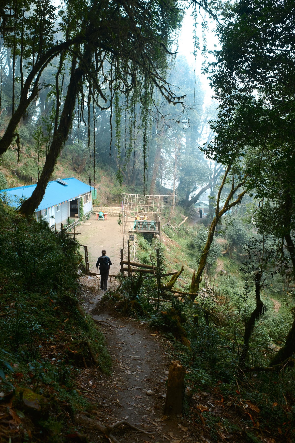 Above the Clouds — Mardi Himal, Nepal — frame