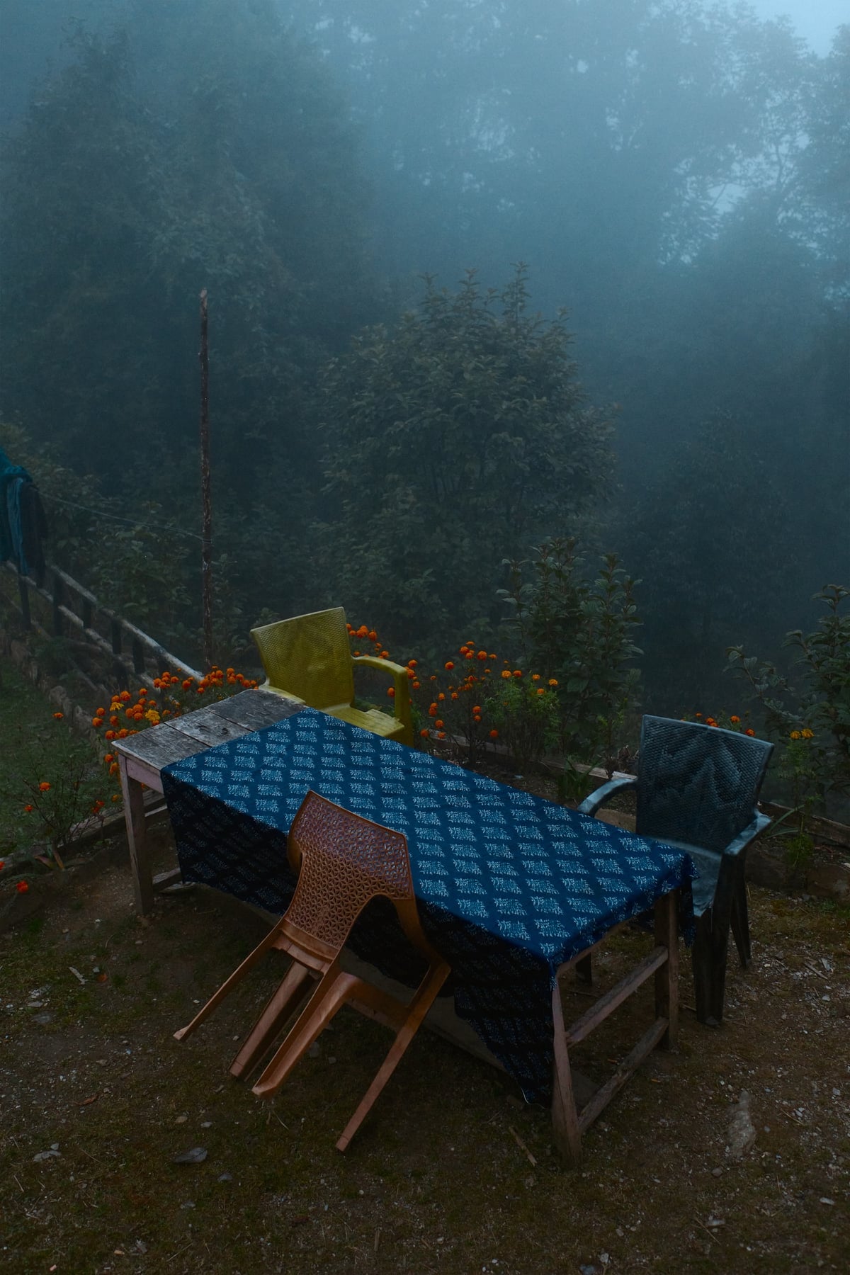 Above the Clouds — Mardi Himal, Nepal — frame