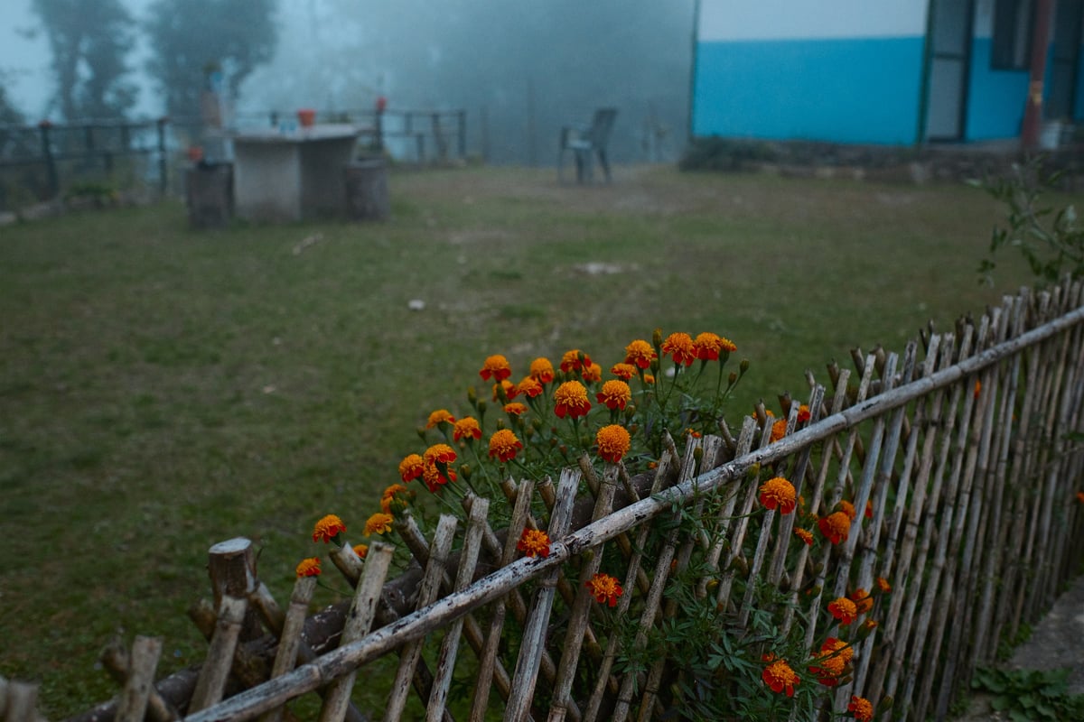 Above the Clouds — Mardi Himal, Nepal — frame