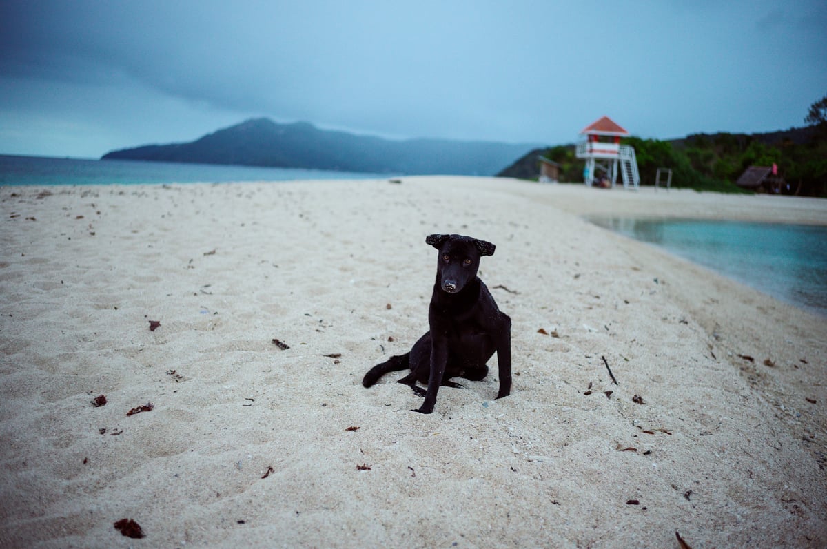 The Unhurried Island — Romblon, Philippines