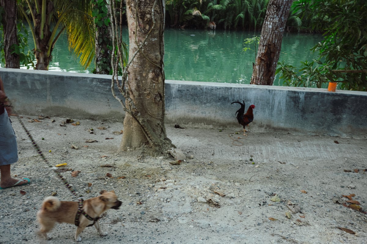 The Unhurried Island — Romblon, Philippines — frame