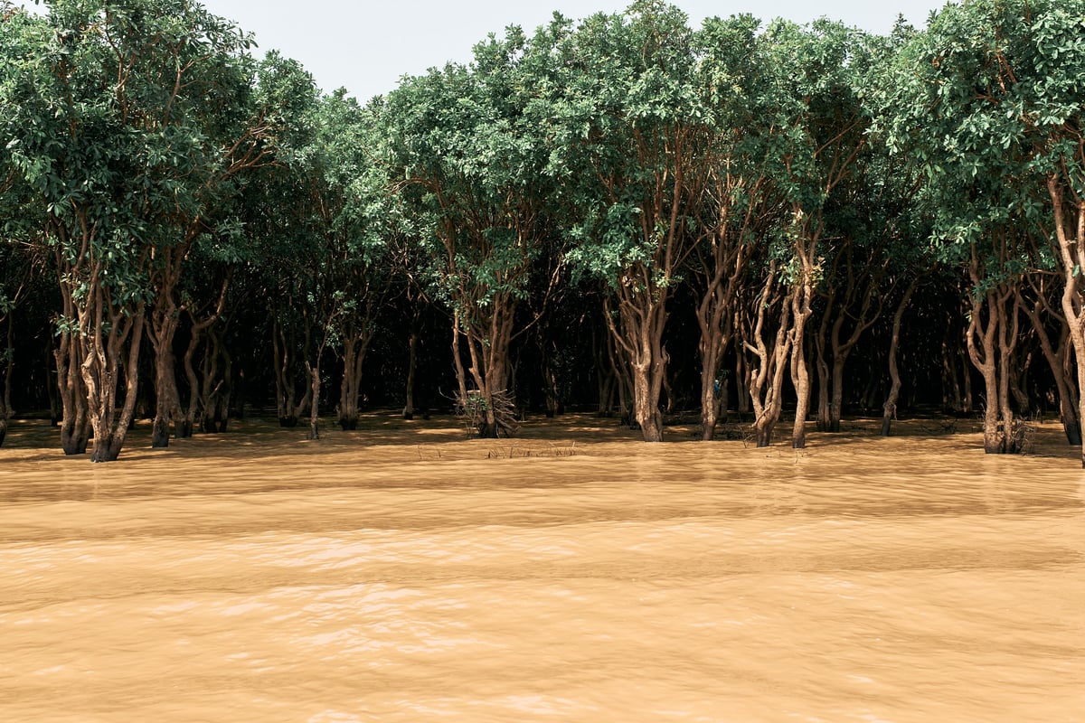 The Water Will Return — Cambodia — frame